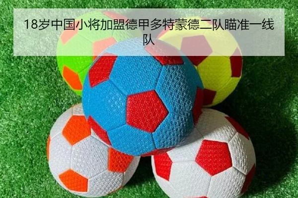 18岁中国小将加盟德甲多特蒙德二队瞄准一线队