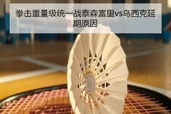 拳击重量级统一战泰森富里vs乌西克延期原因
